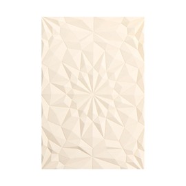 Briartw - Carpeta de relieve 3D para hacer tarjetas, añadiendo detalles texturizados a la artesanía de papel, 6.3 x 4.5 pulgadas, placa de textura transparente, perfecta para cartulina pesada (≥250