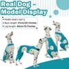 Hjyokuso Recovery Suit For Dogs - Leg Surgery Suit, Lick