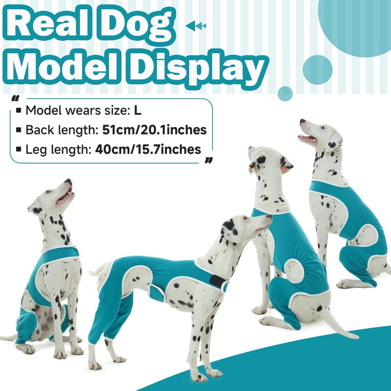 Hjyokuso Recovery Suit For Dogs - Leg Surgery Suit, Lick