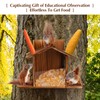 Creechwa Squirrel Feeder for Garden and Tree, Waterproof Sturdy Wood