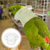 Baluue Parrot Neck Collar, Plastic -bite Collar Clear Feather Protector