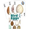 Bird Eggs Playing Cards