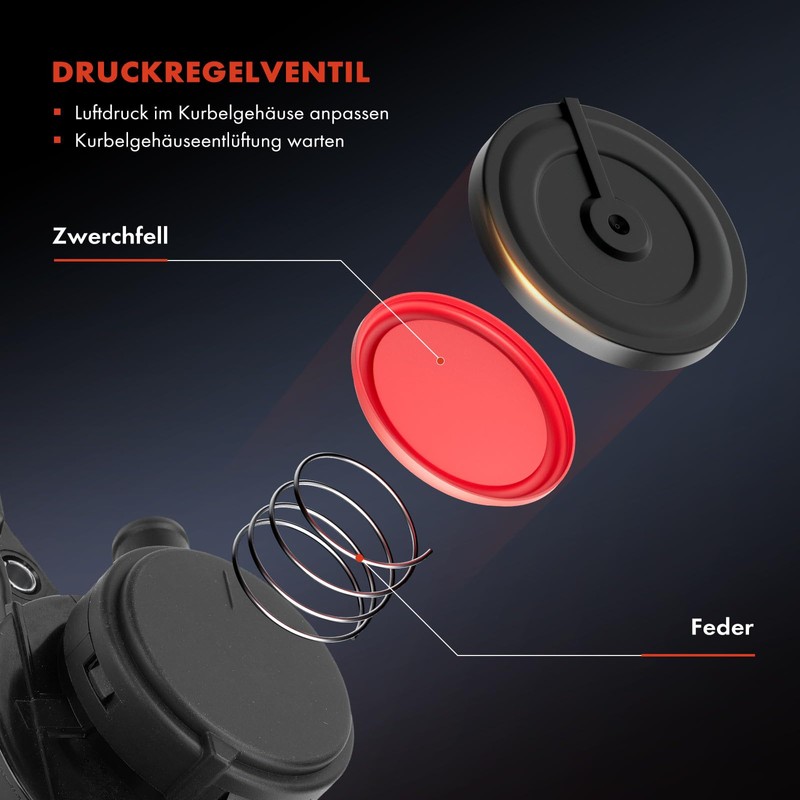 Frankberg Oil-Water Separator Ventilation Hoses for Crankcase Replace# A6110160334
