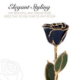 Forever Rose Real Rainbow Rose, Genuine One of a Kind Rose Hand Dipped in Lacquer & Trimmed in 24K Gold