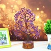 Amethyst Crystal Tree - Money Tree Feng Shui - Tree