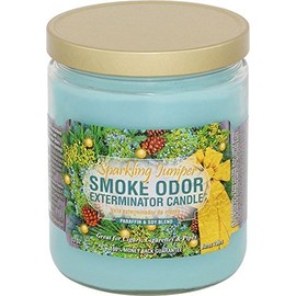 Smoke Odor Exterminator, Sparkling Juniper 13oz Jar Candle, 13 oz, 13 Ounce