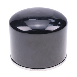 FridayParts Oil Filter EA00004647A Compatible for TYM Tractor T474 T494 T574 Replacement