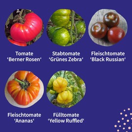 Colourful old tomato varieties - seeds set with 5 traditional, special varieties.