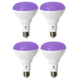 BR30 Black Light Bulb 4 Pack LED Black Light Bulbs,13W (100W Equivalent) BR30 E26 for Glow in The Dark, Level 385-400nm, Black Light Bulb for Blacklight Party, Body Paint Fluorescent Poster, Neon Glow
