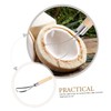 FELTECHELECTR Stainless Steel Coconut Meat Remover Grater Tool Ergonomic Coconut