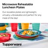 Tupperware Brand Microwave Reheatable Luncheon Plates - Dishwasher & Microwave