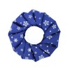 Reusable Ice Packs - Hot & Cold Therapy for Leaks