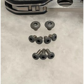 DH Gray Stainless Steel Pivot Scale & Pocket Clip Screws for Spyderco Smock C240CFP