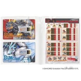 DimCARD Evolution File