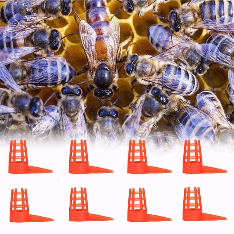 250Pcs Queen Bee Cage Bee Queen Plastic Opening Queen Bee