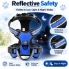 Adjustable Reflective Dog Harness for Daily Walks – Soft Breathable
