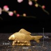 Brass Money Fish Fengshui Gold Wealth Arowana Home Decor Collectible