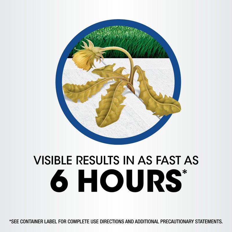 Roundup Weed and Grass Killer4 with Comfort Wand, 1 gal.