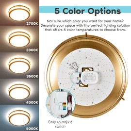 LUXRITE 18 Inch LED Flush Mount Ceiling Light, 5 Color Selectable 2700K | 3000K | 3500K | 4000K | 5000K, Dimmable Ceiling Light Fixture, 24W, 2160 Lumens, Energy Star, ETL Listed, Brushed Brass