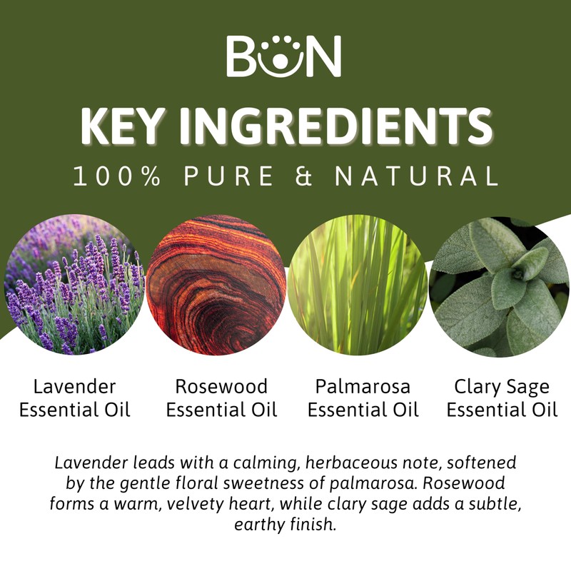 Best of Nature Essential Oil Blend – 100% Pure for