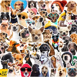 50pcs Funny Dog Meme Cute Animal Kawaii Vinyl Sticker Pack for Laptop, Phone, Water Bottles, Computer Pet Sticker Decals Gifts for Kids Adult Teens
