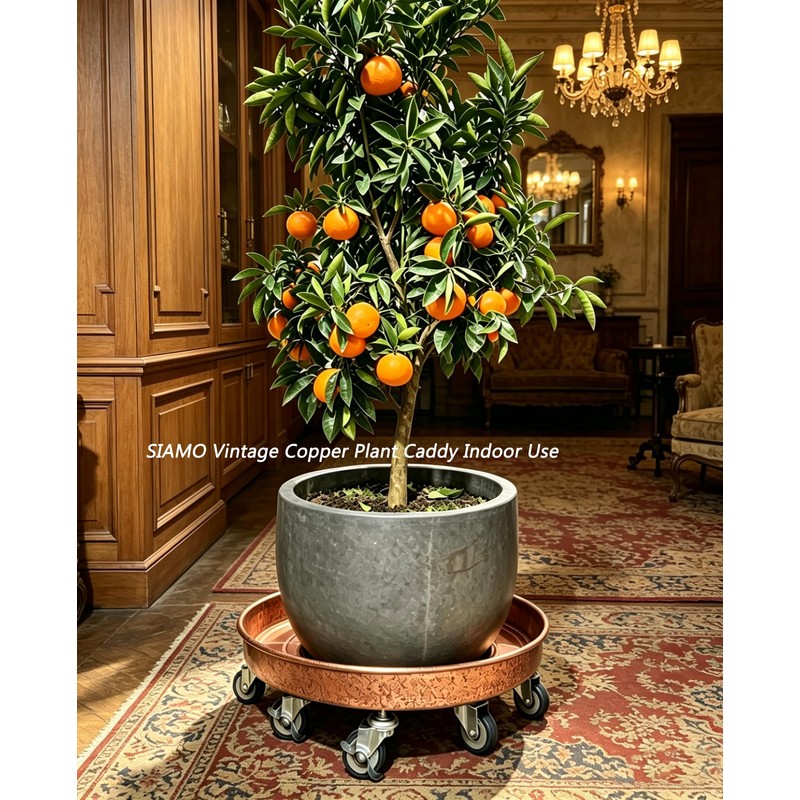 SIAMO 20" Heavy Duty Plant Caddy (570lbs Capacity)-Lockable Non-Scratch Swivel