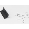 Lashmond Perfect Lash - C Curl Black Individual Eyelash Extensions