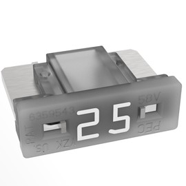 AUPROTEC Mini LP Car Fuses Blade Fuses 2A - 30A Selection: 25A Amp White Pack of 5