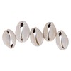 150 PCS 0.63"-0.71" Natural Strong Cowrie Shell Beads Smooth Cut