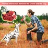 Jewyow Dog Chew Toys for Aggressive Chewers, Beef Flavor Durable