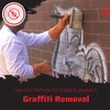 Graffiti Solutions Elephant Snot Graffiti Remover (1 Gallon) | Biodegradable
