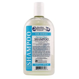 DERMA CLEAN SHAMPOO PT HSD16
