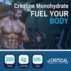 Critical Supplements Creatine Monohydrate Powder 300g (60 x 5g Servings)