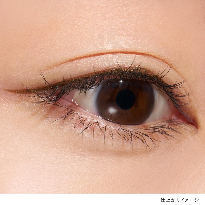 LUNASOL Defining Micro Liner 02 Chestnut Brown [Liquid Eyeliner] Ultra