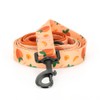 Dog Harness and Leash Set, Adjustable Dog Harness, Dog Leash,