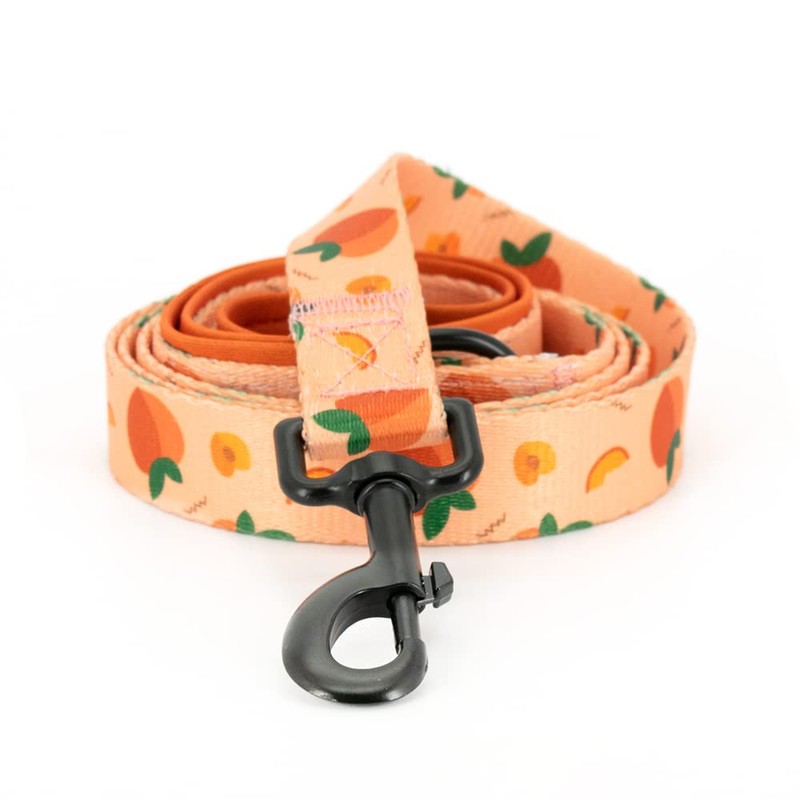 Dog Harness and Leash Set, Adjustable Dog Harness, Dog Leash,