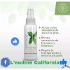 L'eudine L’eudine Leudine Foot Refreshing removes bad smell from feet