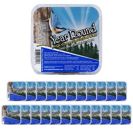 Pine Tree Year Round Hi-Energy Suet Cakes, 11 oz., 24 Pack