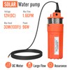ECO-WORTHY 12V DC Submersible Well Water Pump with 10ft Cable,