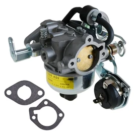 146-0663 Carburetor for Cummins Onan Generator Emerald Plus 6500, 6300, 5000, 4000/BGE Spec K-P. BGD & BGDL Begin Spec F Model Replace 1460663,146-0577 & 146-0630