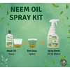 Neem Oil Spray for Plants-Kit Makes 320 fl oz -100%