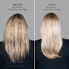 John Frieda, Blonde+ Hair Repair Pre Shampoo, 100mL