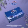 Clorox Fraganzia Fabric Softener Dryer Sheets, Lavender Scent - Wrinkle