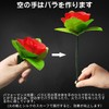 Coollooda Flower Magic Roses, Surprise Magic Set, Set of 5,
