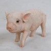 Hi-Line Gift Ltd Stanading Baby Pig, 5"