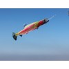 In the Breeze 4963 — Trout Fishsock, 36" - Hanging