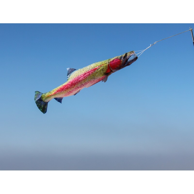 In the Breeze 4963 — Trout Fishsock, 36" - Hanging