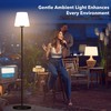Outdoor Floor Lamp, 100% Solar Powered Floor Lamp for Patio