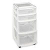 Homz Clear Plastic 4 Drawer Medium Home Organization Storage Container