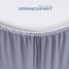 SPRINGSPIRIT Alternates for Bed Skirt Queen, Box Spring Cover Queen